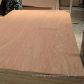 Linyi poplar standard plywood 18mm